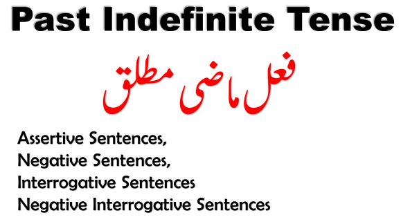 past indefinite tense with examples