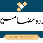 essay in urdu